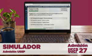 Simulador USEP Salud 2027